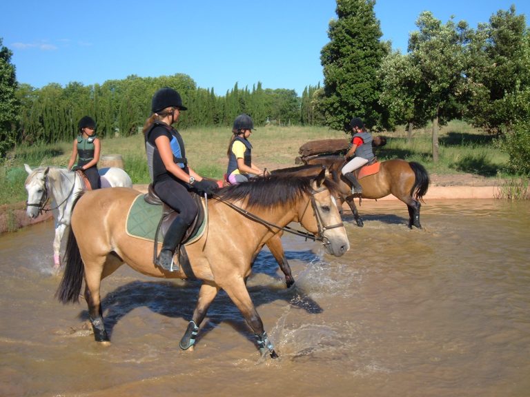 séjour d'équitation à le pouget