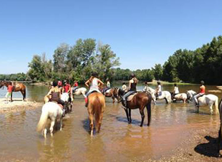 stage baby poney montpellier