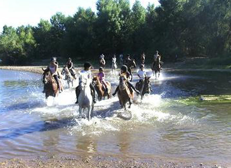 stage baby poney montpellier