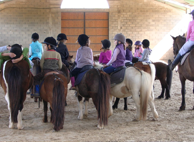 stage baby poney montpellier