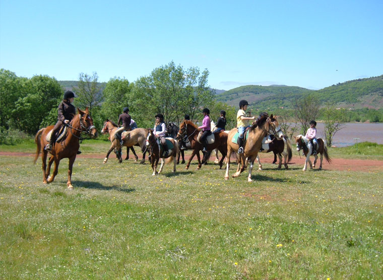 stage baby poney montpellier