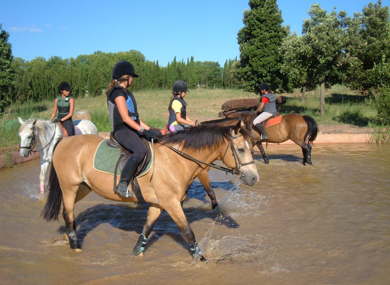 stage baby poney montpellier