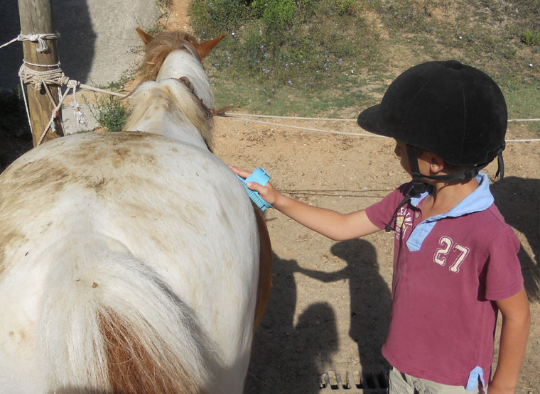 stage baby poney montpellier