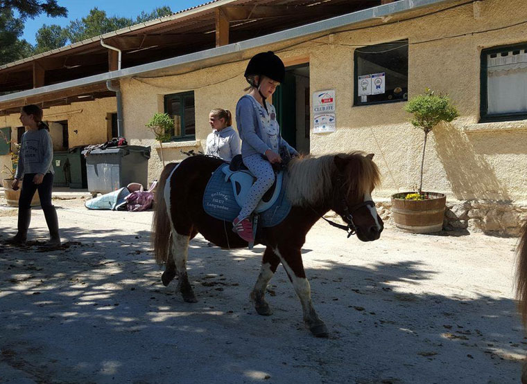 stage baby poney montpellier