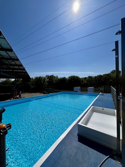 piscine éphémère de montpellier