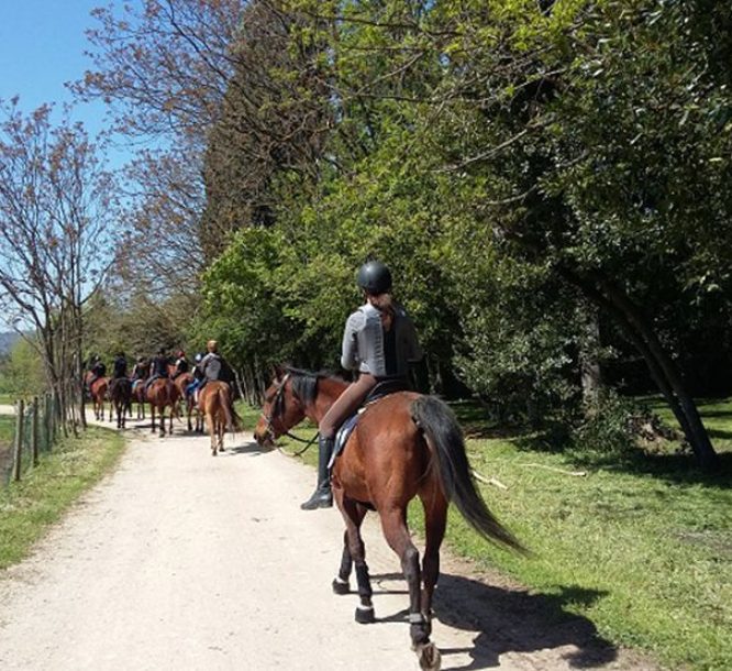 séjour d'équitation à le pouget